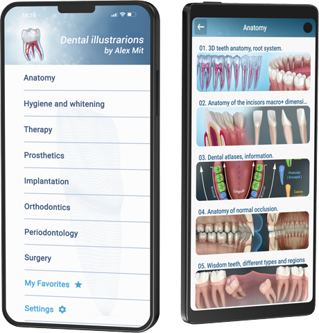 Dental illustrations App